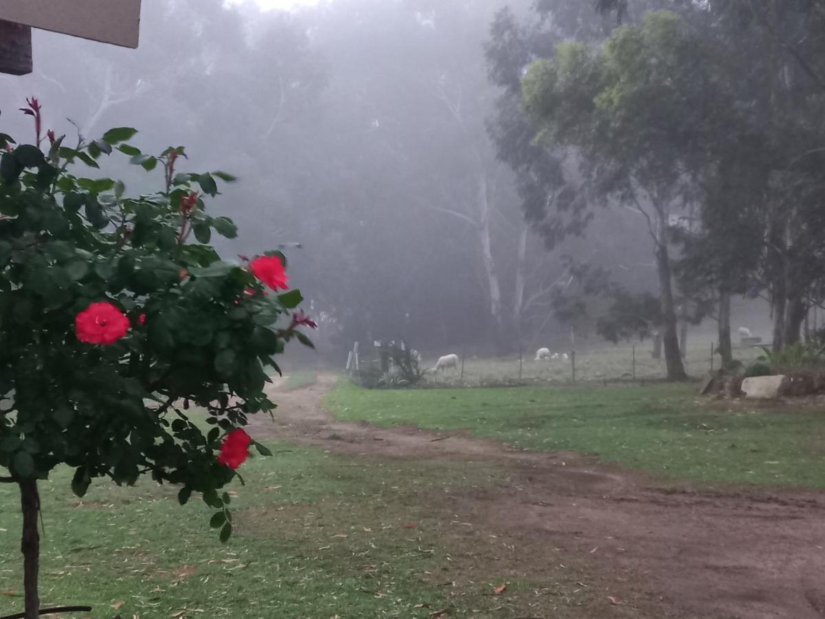 Forellenhof Guest Farm Wakkerstroom Εξωτερικό φωτογραφία