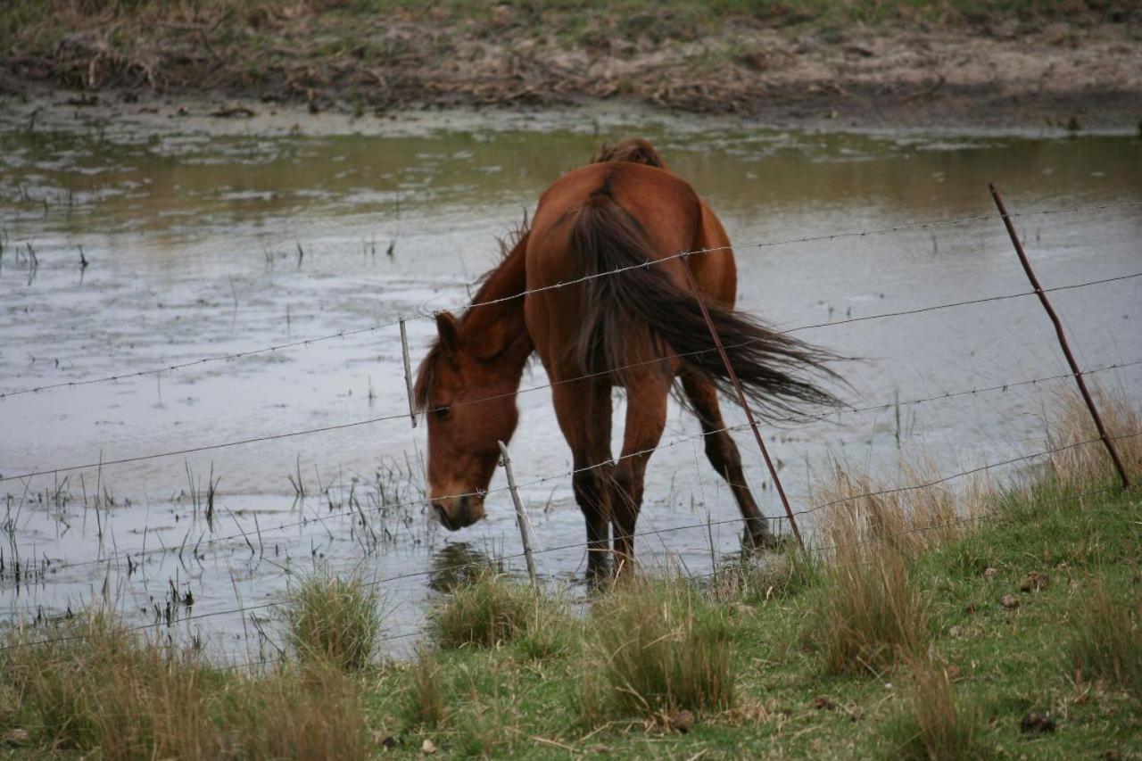 Forellenhof Guest Farm Wakkerstroom Εξωτερικό φωτογραφία
