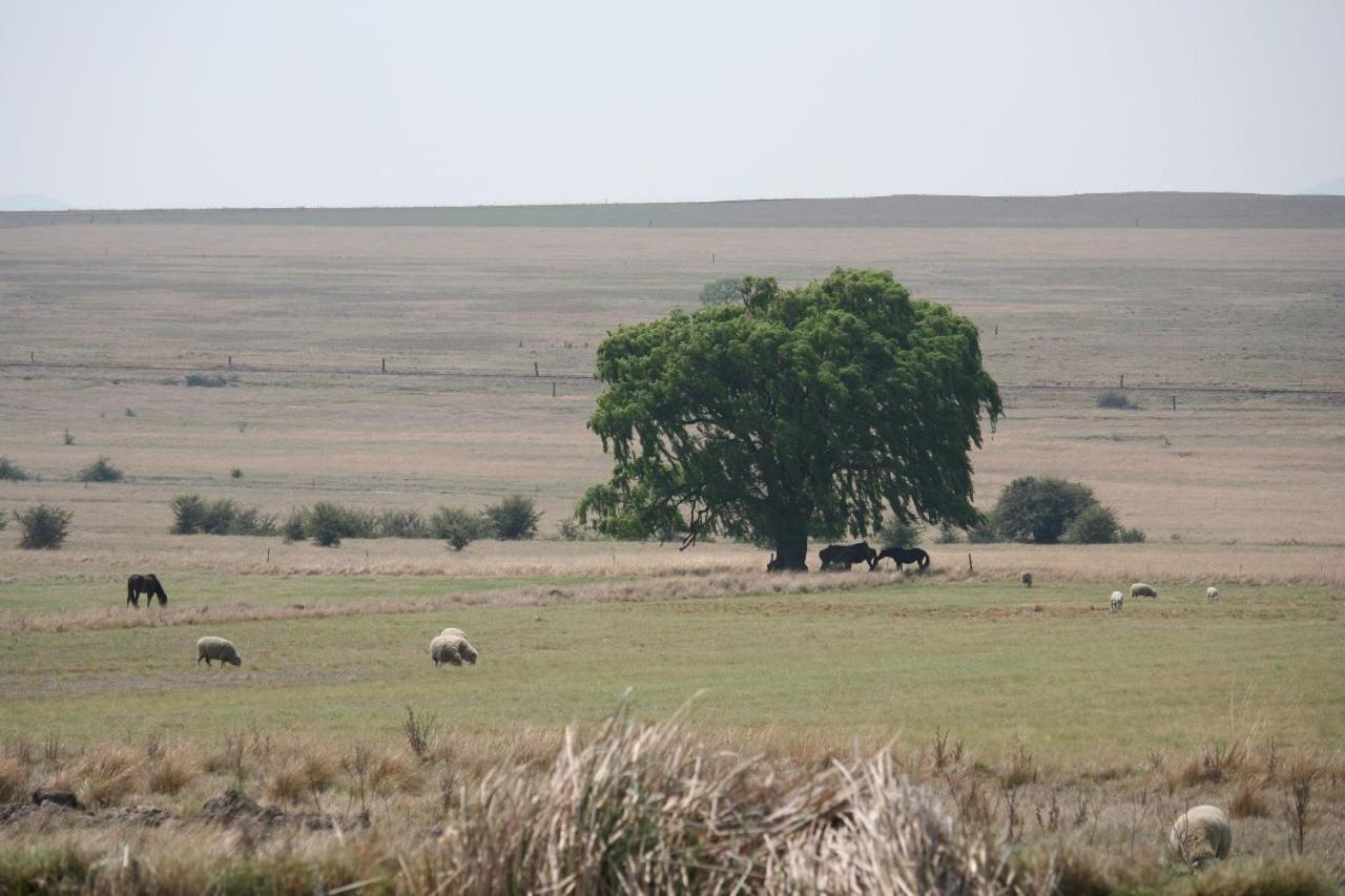 Forellenhof Guest Farm Wakkerstroom Εξωτερικό φωτογραφία