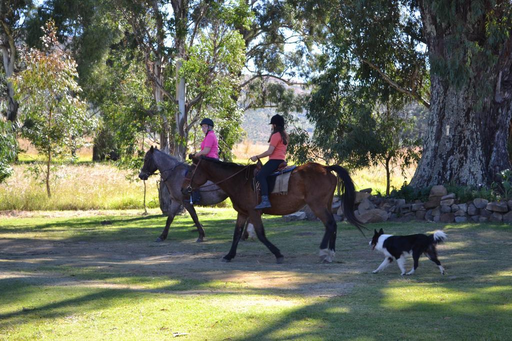 Forellenhof Guest Farm Wakkerstroom Εξωτερικό φωτογραφία