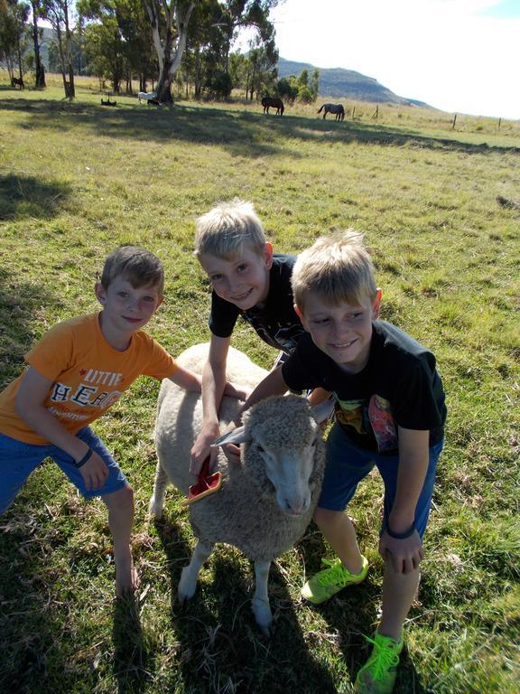 Forellenhof Guest Farm Wakkerstroom Εξωτερικό φωτογραφία